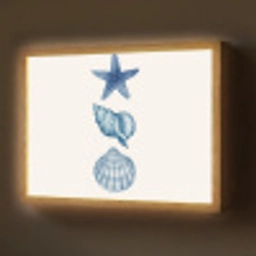 Zeester - Schelpen - Blauw Light Box met batterij (Wandlamp) middel -z3d_website