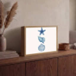 Zeester - Schelpen - Blauw Light Box met batterij (Wandlamp) middel -sfeer2