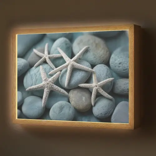 Zeesterren - Stenen - Wit Light Box met batterij (Wandlamp) middel -z3d_website