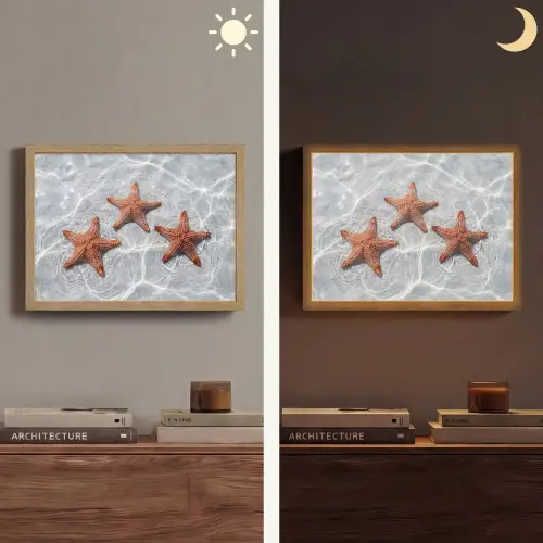 Zeesterren - Water - Helder Light Box met batterij (Wandlamp) middel -sfeer3