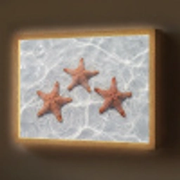 Zeesterren - Water - Helder Light Box met batterij (Wandlamp) middel -z3d_website