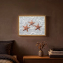 Zeesterren - Water - Helder Light Box met batterij (Wandlamp) middel -sfeer4