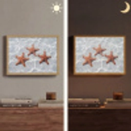 Zeesterren - Water - Helder Light Box met batterij (Wandlamp) middel -sfeer3