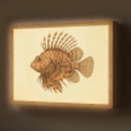 Strepen - Vis - Rond - Stekels Light Box met batterij (Wandlamp) middel -z3d_website