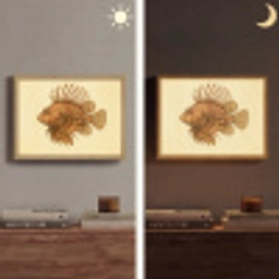 Strepen - Vis - Rond - Stekels Light Box met batterij (Wandlamp) middel -sfeer3