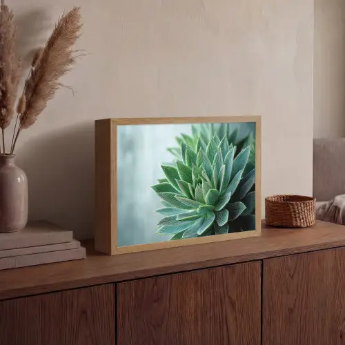 Vetplant - Bladeren - Groen - Wazig Light Box met batterij (Wandlamp) middel -sfeer2