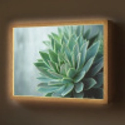 Vetplant - Bladeren - Groen - Wazig Light Box met batterij (Wandlamp) middel -z3d_website
