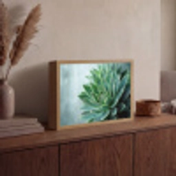 Vetplant - Bladeren - Groen - Wazig Light Box met batterij (Wandlamp) middel -sfeer2