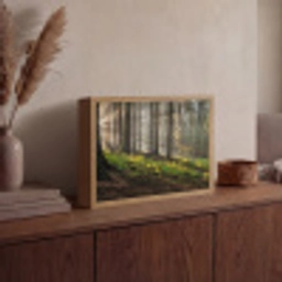 Zon - Takken - Bomen - Bos - Natuur Light Box met batterij (Wandlamp) middel -sfeer2