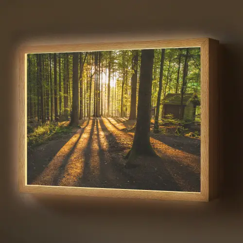 Zon - Bomen - Bos - Landschap - Natuur Light Box met batterij (Wandlamp) middel -z3d_website