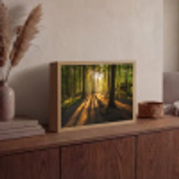 Zon - Bomen - Bos - Landschap - Natuur Light Box met batterij (Wandlamp) middel -sfeer2