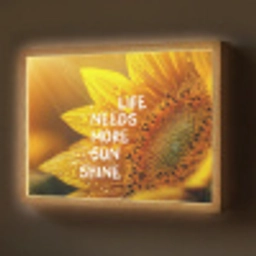 Zonnebloem - Close up - Geel - Quote Light Box met batterij (Wandlamp) middel -z3d_website