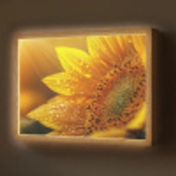 Zonnebloem - Dauwdruppels - Geel - Zonlicht Light Box met batterij (Wandlamp) middel -z3d_website