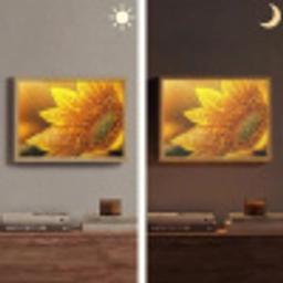 Zonnebloem - Dauwdruppels - Geel - Zonlicht Light Box met batterij (Wandlamp) middel -sfeer3