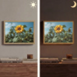 Zonnebloemen - Helderblauwer lucht - Gras Light Box met batterij (Wandlamp) middel -sfeer3
