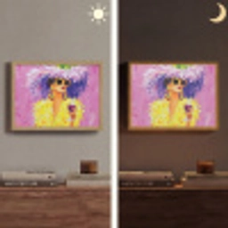 Zonnebril - Vrouw - Jas - Veren Light Box met batterij (Wandlamp) middel -sfeer3