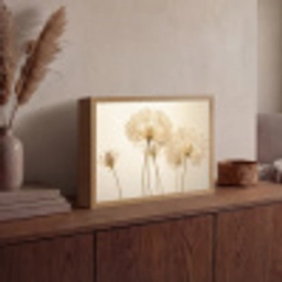Zonlicht - Paardenbloem - Botanisch - Bloemen Light Box met batterij (Wandlamp) middel -sfeer2