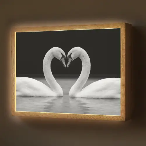 Zwanen - Hart - Zwart - Wit Light Box met batterij (Wandlamp) middel -z3d_website