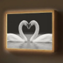 Zwanen - Hart - Zwart - Wit Light Box met batterij (Wandlamp) middel -z3d_website