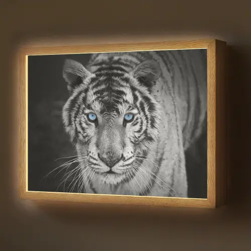 Tijger - Dier - Zwart - Blauw - Modern Light Box met batterij (Wandlamp) middel -z3d_website