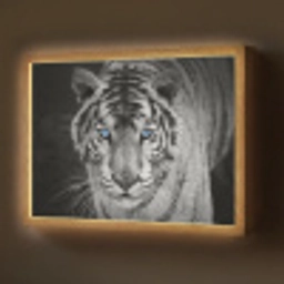 Tijger - Dier - Zwart - Blauw - Modern Light Box met batterij (Wandlamp) middel -z3d_website