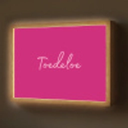 Toedeloe - Roze Light Box met batterij (Wandlamp) middel -z3d_website