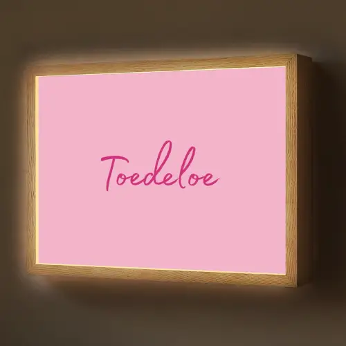 Toedeloe - Roze - Minimalistisch Light Box met batterij (Wandlamp) middel -z3d_website
