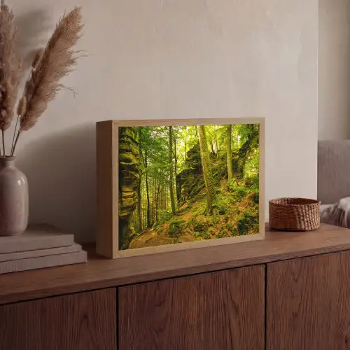 Bomen - Steen - Bos - Natuur - Planten Light Box met batterij (Wandlamp) middel -sfeer2