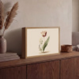 Tulp - Minimalistisch - Beige Light Box met batterij (Wandlamp) middel -sfeer2