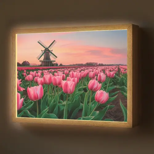 Tulpen - Molen - Nederland Light Box met batterij (Wandlamp) middel -z3d_website