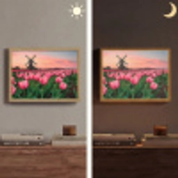 Tulpen - Molen - Nederland Light Box met batterij (Wandlamp) middel -sfeer3