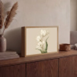 Tulpen - Wit - Bladeren Light Box met batterij (Wandlamp) middel -sfeer2