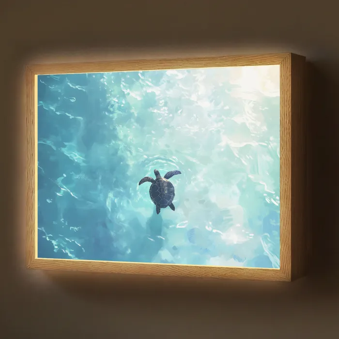 Schildpad - Zee - Blauw - Schittering Light Box met batterij (Wandlamp) middel -z3d_website
