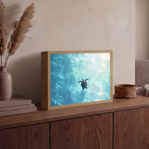 Schildpad - Zee - Blauw - Schittering Light Box met batterij (Wandlamp) middel -sfeer2