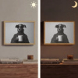 Coltrui - Hond - Bril - Mok Light Box met batterij (Wandlamp) middel -sfeer3
