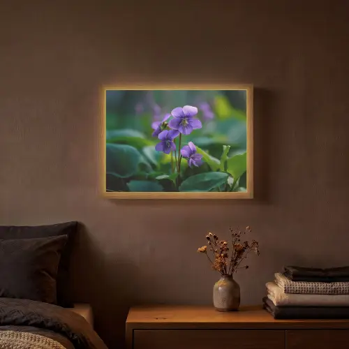 Viooltjes - Paars - Bloem - Bladeren Light Box met batterij (Wandlamp) middel -sfeer4