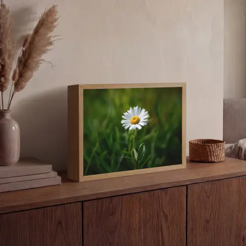 Wit - Madeliefje - Bloem - Gras Light Box met batterij (Wandlamp) middel -sfeer2