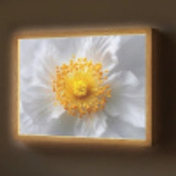 Wit - Bloem - Elegant Light Box met batterij (Wandlamp) middel -z3d_website