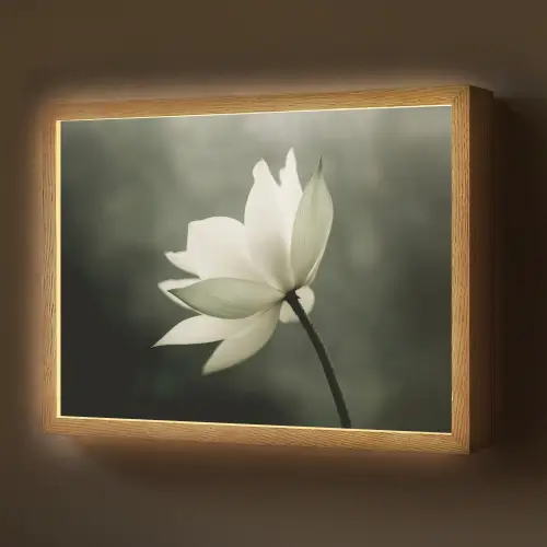 Wit - Lotus - Donker - Bloem Light Box met batterij (Wandlamp) middel -z3d_website