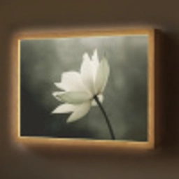 Wit - Lotus - Donker - Bloem Light Box met batterij (Wandlamp) middel -z3d_website