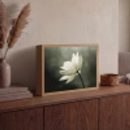 Wit - Lotus - Donker - Bloem Light Box met batterij (Wandlamp) middel -sfeer2
