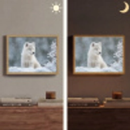 Wolf - Pup - Sneeuw Light Box met batterij (Wandlamp) middel -sfeer3