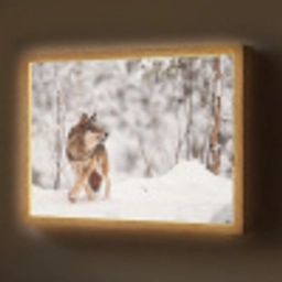 Wolf - Winter - Sneeuw - Natuur - Dieren Light Box met batterij (Wandlamp) middel -z3d_website