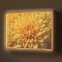 Geel - Chrysant - Zachtheid Light Box met batterij (Wandlamp) middel -z3d_website