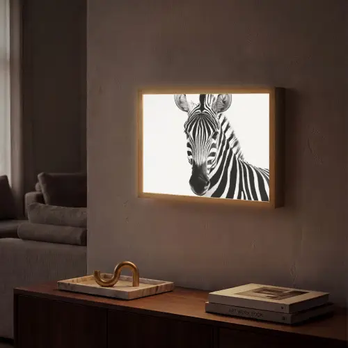 Zebra - Close-up - Zwart - Strepen Light Box met batterij (Wandlamp) middel -sfeer1