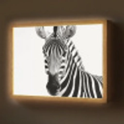 Zebra - Close-up - Zwart - Strepen Light Box met batterij (Wandlamp) middel -z3d_website