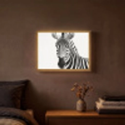 Zebra - Close-up - Zwart - Strepen Light Box met batterij (Wandlamp) middel -sfeer4