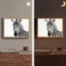 Zebra - Close-up - Zwart - Strepen Light Box met batterij (Wandlamp) middel -sfeer3