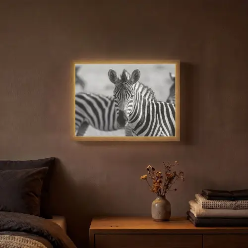 Zebra's - Zwart - Wit Light Box met batterij (Wandlamp) middel -sfeer4