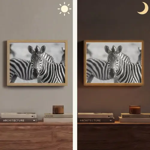 Zebra's - Zwart - Wit Light Box met batterij (Wandlamp) middel -sfeer3